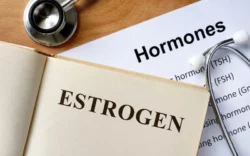 Estrogen 800x500 1