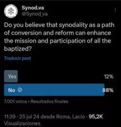 Retiran encuesta vaticana no favorable al sínodo de la sinodalidad 3 sinencu