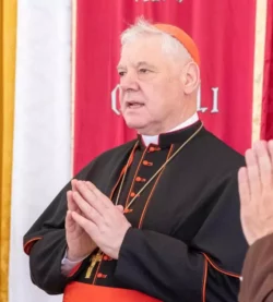 Cardinal Muller 700x775 1