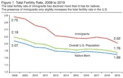 fertilidad inmigrantes nativos