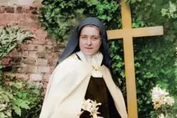 Editorial: Viví… y continuaré viviendo 3 Santa Teresinha do Menino Jesus