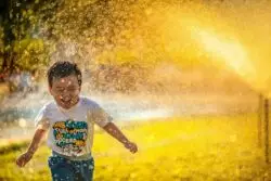 ¿Cuál será mejor ejemplo para su hija, Isabel la Católica o Frida Khalo? 3 mi pham FtZL0r4DZYk unsplash