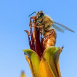 sandy millar vQw5JGtfawg unsplash
