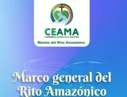¿La ‘pachamama’ introduciendo y preparando una ordenación diaconal? 4 6 1