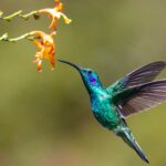 james wainscoat hjmED1qivmc unsplash1