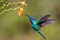 james wainscoat hjmED1qivmc unsplash1