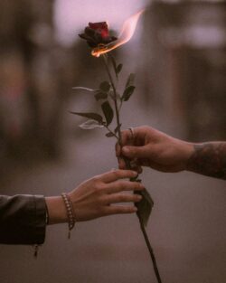 La ilusión y la frustración del romanticismo 1 zach miller uNrqBm7wb8s unsplash