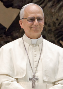Pope Leo XIV 3 cropped