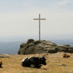 diego fernandez sanchez q0e6UPava4M unsplash1