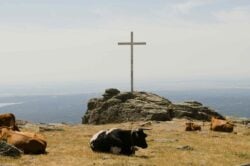 “Del grito de la Tierra al gemido de la creación”: El cambio climático en el pontificado de León XIV 3 diego fernandez sanchez q0e6UPava4M unsplash1