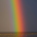 zoltan tasi P2lk 0bBVm0 unsplash
