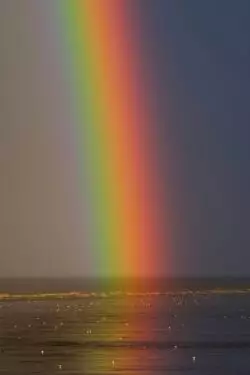 Un esbozo de una teoría general de la felicidad 2 zoltan tasi P2lk 0bBVm0 unsplash