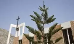 Vecinos y autoridades consternados por incendio en la iglesia de El Pozuelo, en España 2 8512bb1c94905d79023a6ae75b805b74 XL