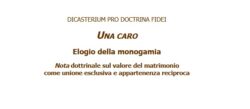 ‘Una Caro’: Dicasterio para la Doctrina de la Fe emite texto sobre la monogamia 2 1 4