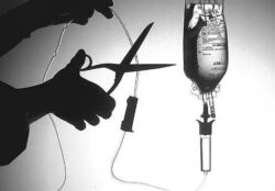 En Italia, campaña contra el suicidio asistido: “No me mates” 2 4 1