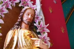 Obispos de EE.UU. consagrarán la nación al Sagrado Corazón de Jesús en 2026 2 ASS08348