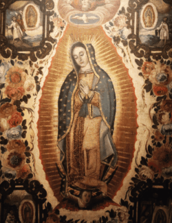 Virgen de Guadalupe: evangelizadora, madre, sostén de la familia - Milagros que confirman su protección 3 GUADALUPE00 8