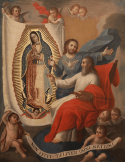 Virgen de Guadalupe: evangelizadora, madre, sostén de la familia - Milagros que confirman su protección 2 GUADALUPE2345 8