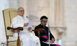 Audiencia General papal del último día del año: hacer un sincero examen de conciencia 2 audiencia geral vatican media