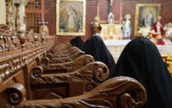 Crisis vocacional en EE.UU.: mayoría de institutos religiosos no registró votos perpetuos en 2025 2 1 9