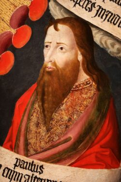 El Cardenal Parolin en Malta: el naufragio de San Pablo enseña fe, acogida y verdadera autoridad 3 2021122016543700194 FL