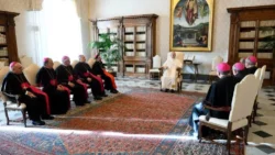 Obispos españoles presentes en encuentro con el Papa: nunca dijo que su mayor preocupación es la “ultraderecha” 2 2025111804452167094