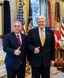 Junta de Paz de Trump para Gaza: Europa, ‘sí pero no’, tras renuencia de la Santa Sede 2 Sin titulo 11