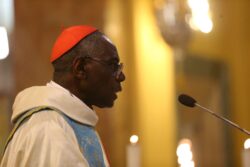 Lo importante del Papa es “su capacidad para poner a Dios en el centro”: Cardenal Sarah 2 2 1