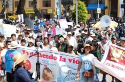 Más de 5.000 marcharon en el Día del Niño por Nacer en Cañete, Perú 2 2 7