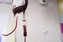 Testigos de Jehová modifican su doctrina sobre la sangre tras años de debate bioético, permiten auto transfusiones 2 aman chaturvedi 0ZZo5o00o80 unsplash
