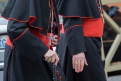 Papa convoca a consistorio extraordinario en junio 2 1745 20130308 GK1