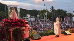 Más de un millón de fieles participaron en la Peregrinación Masculina del Festival de Penha, en Brasil 2 Mais de um milhao de devotos participaram da Romaria dos Homens na Festa da Penha 1