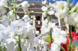 Papa León XIV convoca a una vigilia de oración por la paz el próximo sábado 3 Papa Leao XIV convoca vigilia de oracao pela paz no proximo sabado 2