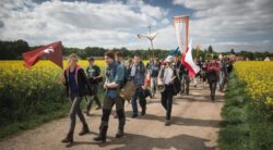 Aumento sin precedentes de la Peregrinación a Chartres: las 14.000 inscripciones se agotaron en 24 horas 2 Sin titulo 4