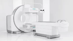 Los 6 tipos de cerebro: Neuroanatomía con agua bendita 5 2 1