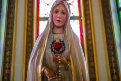 “Tu jardín podría ser un homenaje a la Virgen”, las 12 flores dedicadas a María y su significado 2 23072019 1859 23072019 VTD