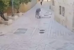 Fue detenido el hombre que agredió brutalmente a religiosa francesa en Jerusalén 3 5