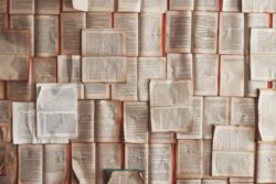 En librerías de viejo, misteriosos compradores adquieren libros para alimentar la voraz sed de la IA 2 patrick tomasso Oaqk7qqNh c unsplash