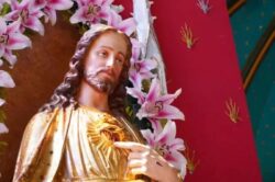 Papa León XIV recuerda que este mes está dedicado al Sagrado Corazón de Jesús 2 1 2