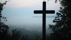 Papa aprobó beatificación de 20 sacerdotes mártires españoles y reconoció a cinco Siervos de Dios 2 2 9