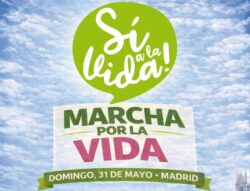 15.000 personas estuvieron en Marcha “Sí a la Vida” en Madrid, contra el aborto y la eutanasia 2 5