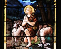 ¿Estoy cansado? - Comentario al Evangelio dominical 2 8