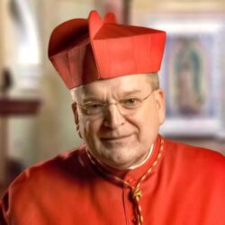 Cardenal Burke sugiere poner fin a la sinodalidad y crear un dicasterio para la liturgia tradicional 2 293118277 366856522251135 3474405843553486339 n 768x768 1