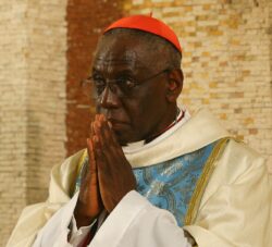 Cardenal Sarah: “sinodalidad” es un término que “nunca he entendido” 2 4 5