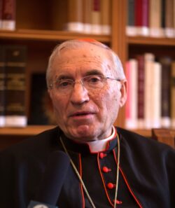 Cardenal Rouco Varela advirtió que la Iglesia no puede comprometer la autoridad sacramental 2 4 9