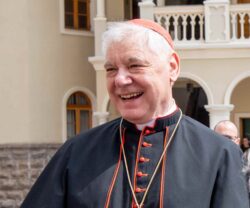 Cardenal Müller dice que consistorios deben recuperar las intervenciones libres en plenarias 2 6 3