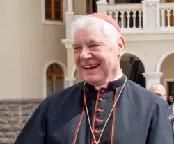 Cardenal Müller dice que consistorios deben recuperar las intervenciones libres en plenarias 2 6 3