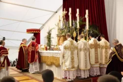 Recurso de la FSSPX no deshace la excomunión 2 744858749 2032696920671144 7568686727645430548 n 700x467 1
