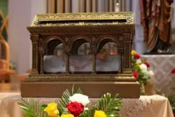 Estados Unidos recibe la peregrinación de las reliquias de Santa Margarita María Alacoque 2 Estados Unidos recebem peregrinacao de reliquias de Santa Margarida Maria Alacoque 2