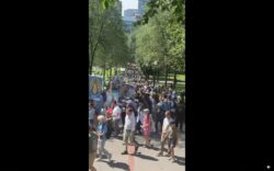 Miles de fieles participan de Procesión Eucarística en Boston, EE.UU. 2 Sin titulo